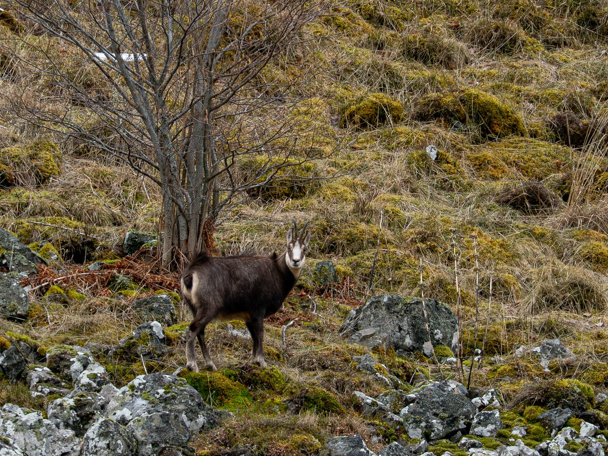 05022026-05 02 2026 (8).jpg